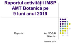 Raportul activității instituției pe parcursul a 9 luni, anul 2019