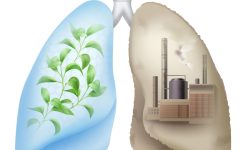 Efectele poluării asupra stării sănătăți