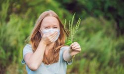 Alergia la ambrozie – manifestare, măsuri de combatere și prevenire