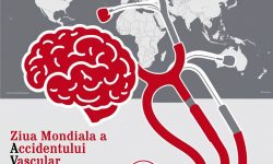 Accidentul Vascular Cerebral (AVC)