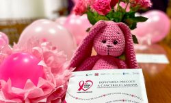 În cadrul IMSP AMT Botanica continuă activitățile de sensibilizare și informare a populației referitor la importanța prevenției cancerului mamar!